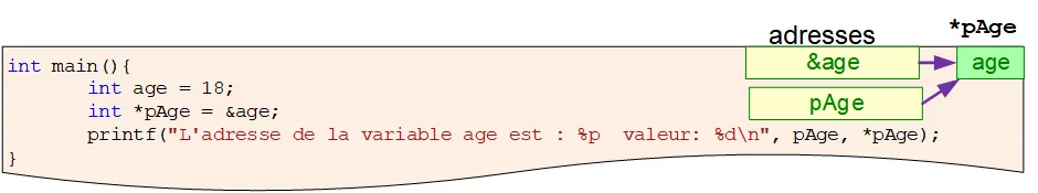 int age = 28;
int *pAge = &age;
printf("valeur de age = %d", *pAge);