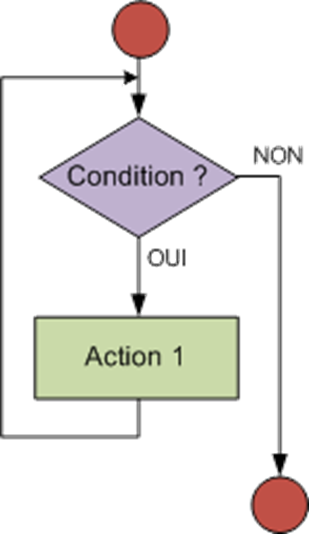 ordinogramme while